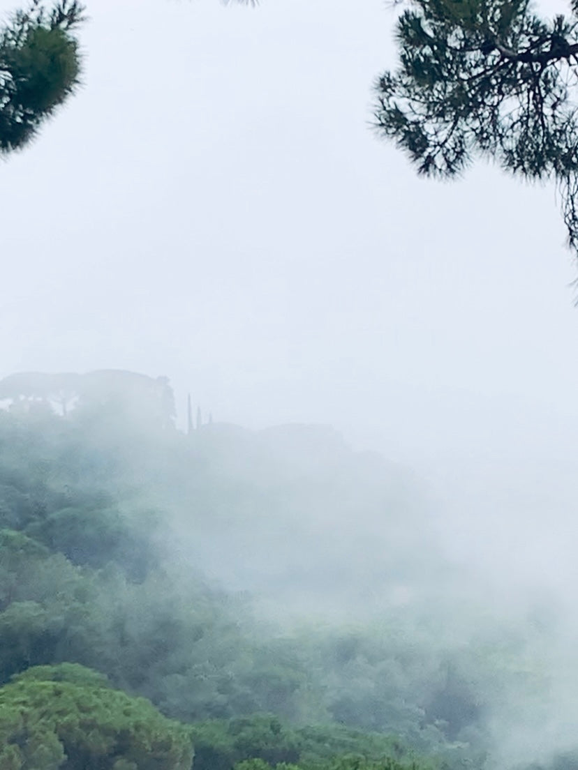 Misty