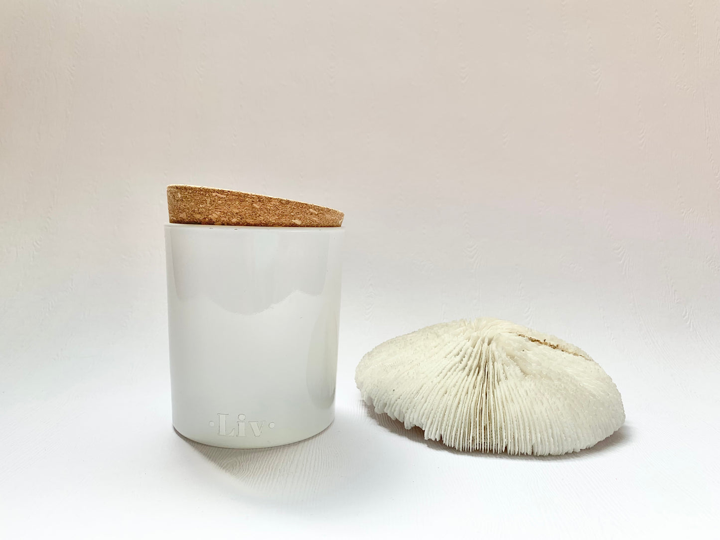 Maillette (+Crystals, Limited Edition)
