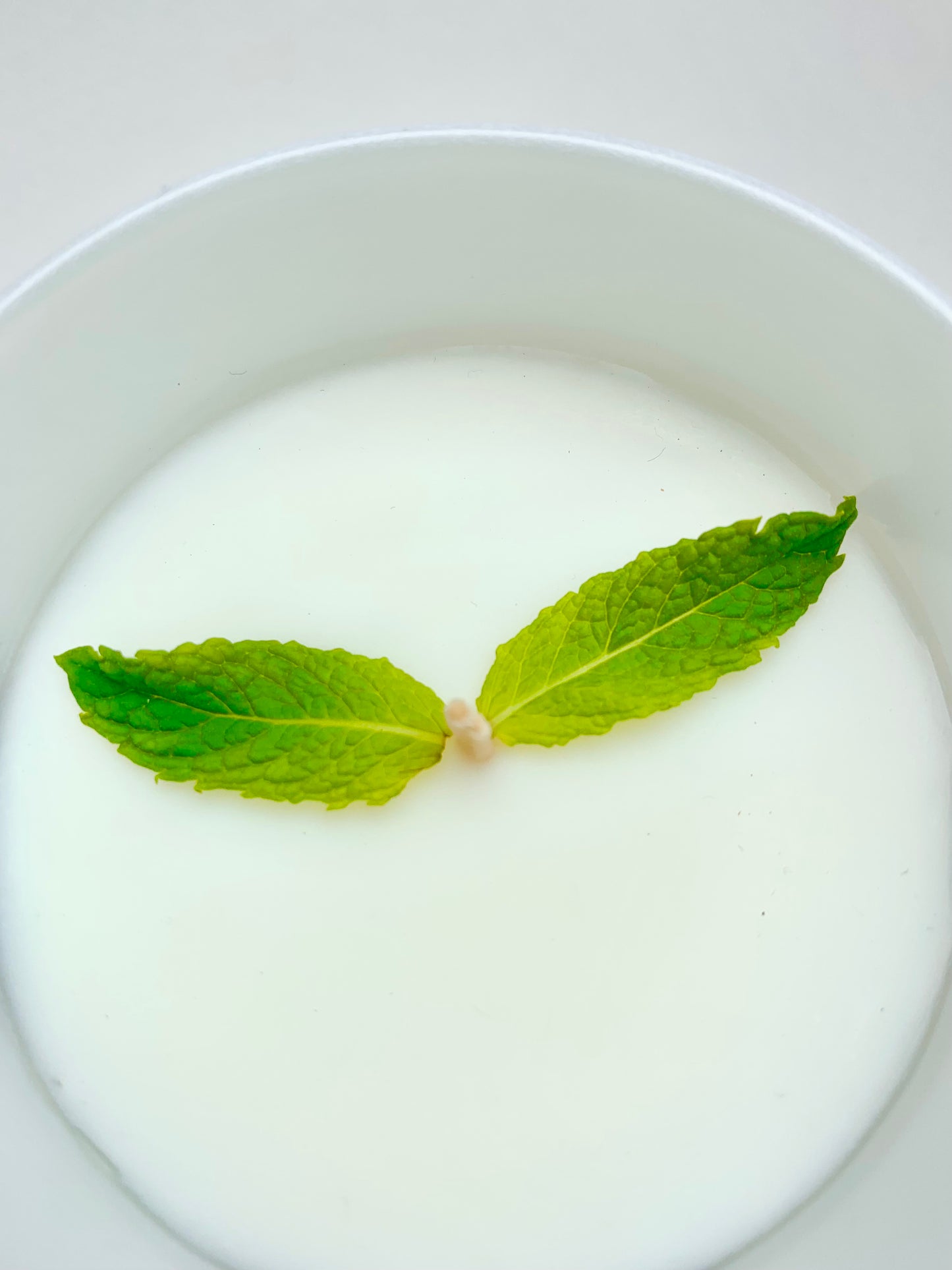 Peppermint